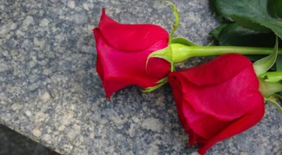 COMMEMORAZIONE DEI DEFUNTI - ORARIO DEL  CIMITERO COMUNALE