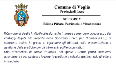 INCONTRO FORMATIVO SUL PORTALE DIGITALE DELLE PRATICHE S.U.E. DEL COMUNE DI V...